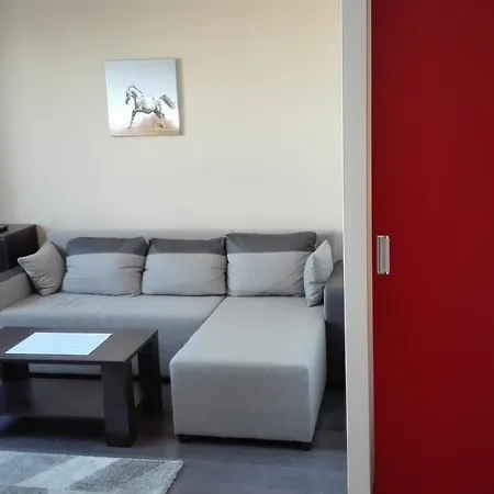 Apartment Markoni *